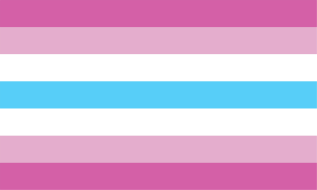 Femboy flag